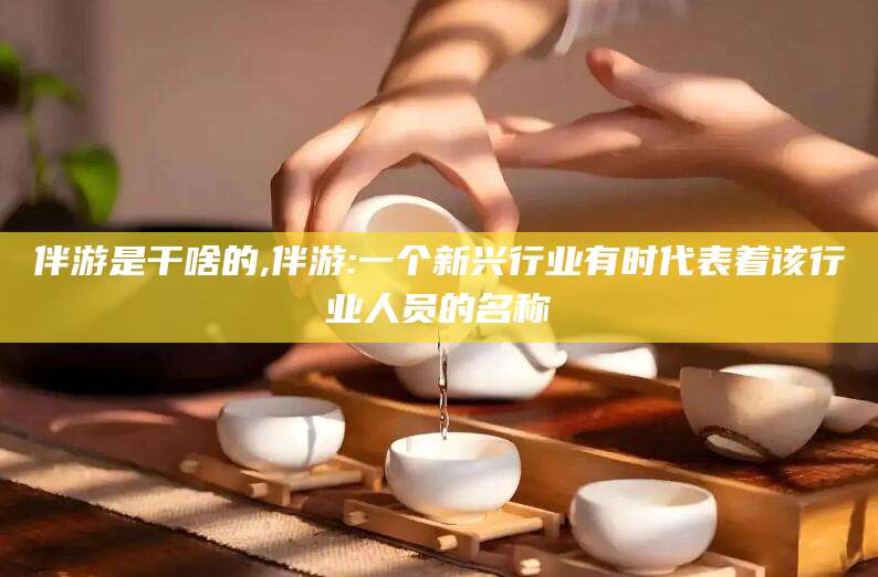 青海伴游是干啥的,伴游:一个新兴行业有时代表着该行业人员的名称