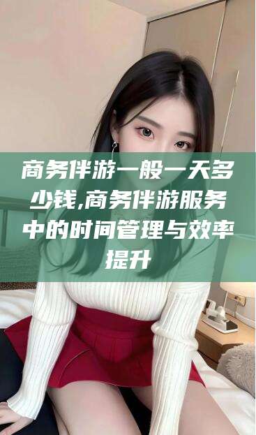 青海商务伴游一般一天多少钱,商务伴游服务中的时间管理与效率提升