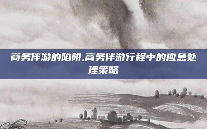 青海商务伴游的陷阱,商务伴游行程中的应急处理策略